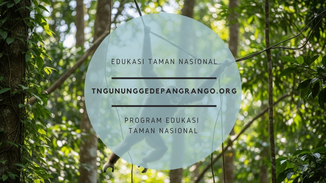 Air Terjun Taman Nasional Gunung Gede Pangrango