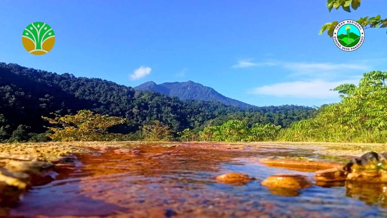 Taman Nasional Bogani Nani Wartabone