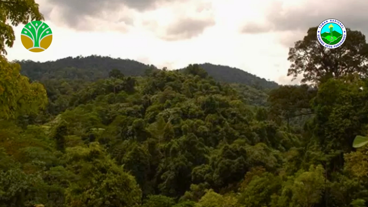 Taman Nasional Bukit Tiga Puluh