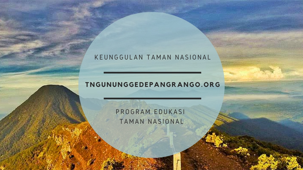 Keunggulan Taman Nasional Gunung Gede Pangrango