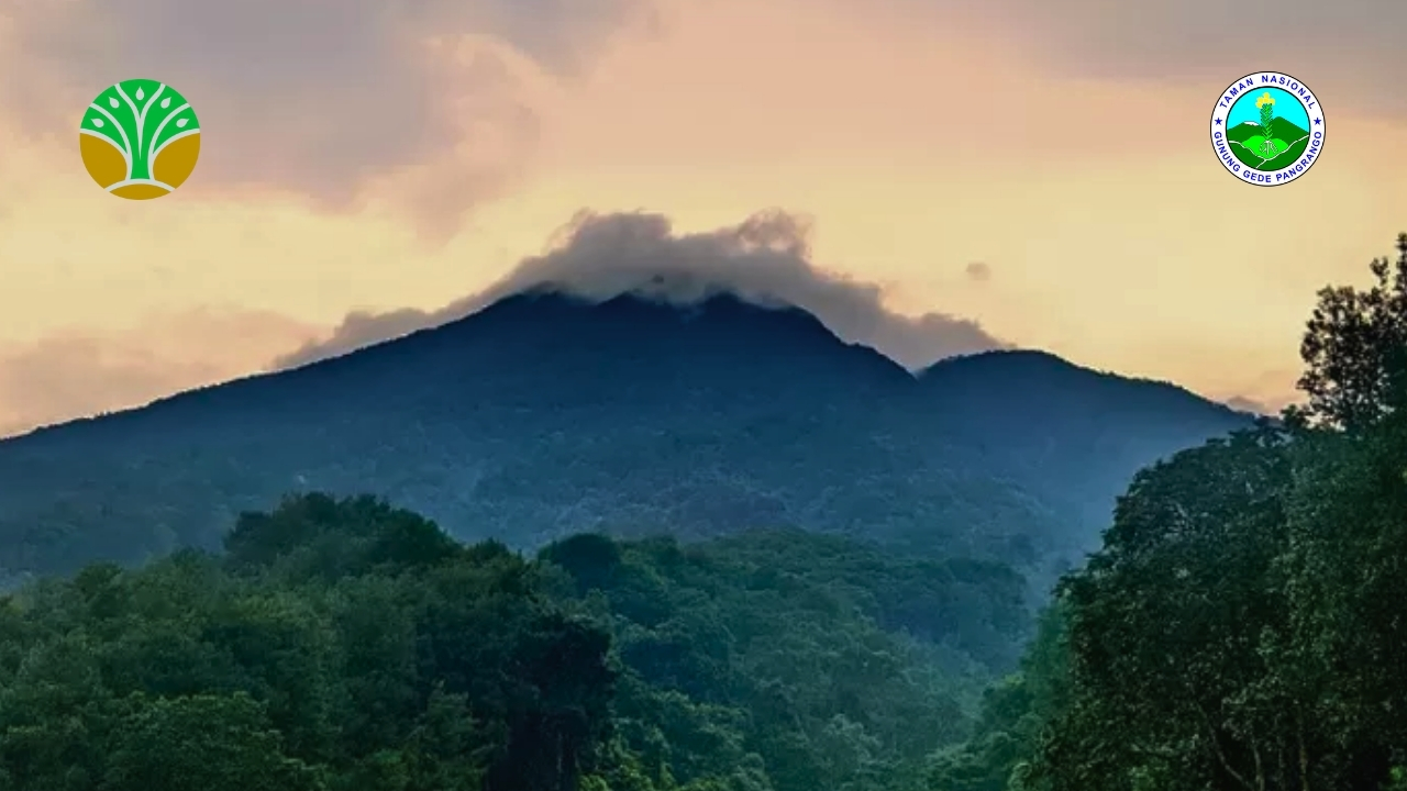 Taman Nasional Gunung Halimun Salak - Jawa Barat